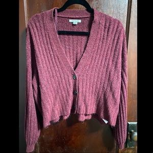 American Eagle Cropped Cardigan